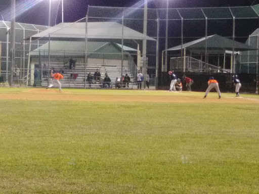 Lake Jackson Ballfields - Visual