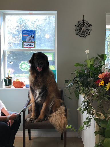 Family Pet Clinic - Thumbnail