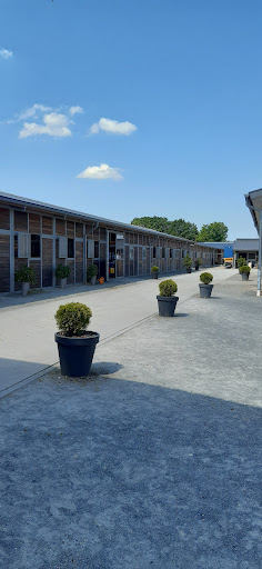 Hanseklinik für Pferde - Thumbnail