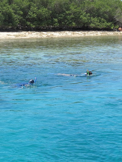 Photos of OCEAN DREAMS Pemuteran