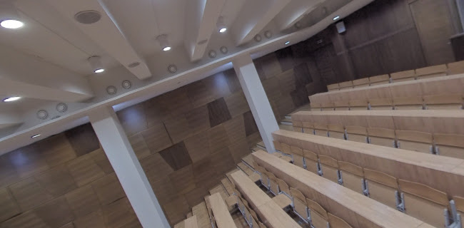 Universitatea Sapientia