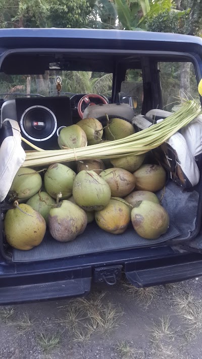 Photos of Kebun Durian Merah