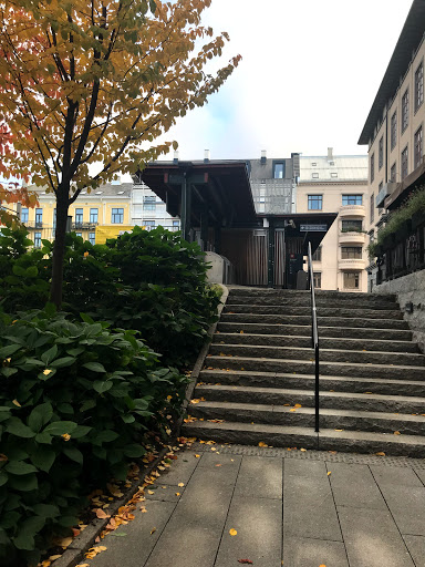 Psykolog Lena Hole