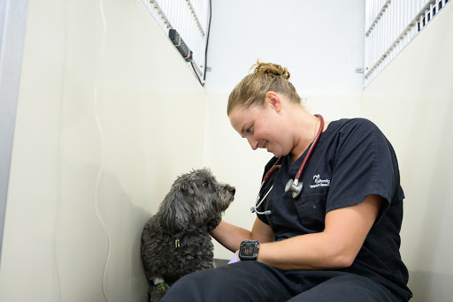 VCA California Veterinary Specialists-Ontario - Thumbnail