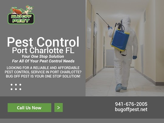 Pest Control in Port Charlotte FL