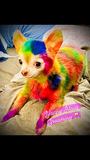 Yappy Hour Dog Grooming