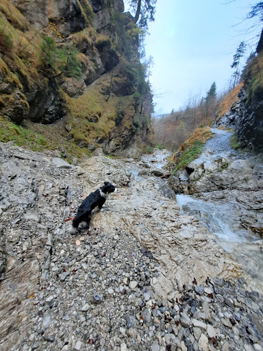 Schleierfall - Visual