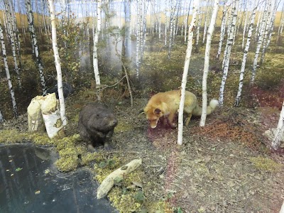 Photos of Ice Age Centre