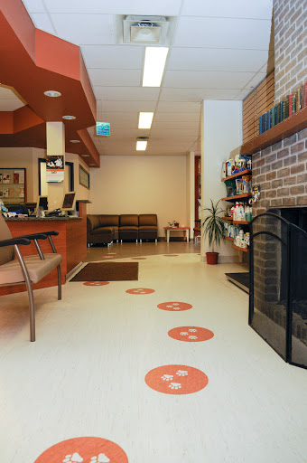 Tuxedo Animal Hospital Gallery - Canada