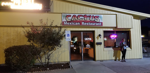 Cactus - Visual