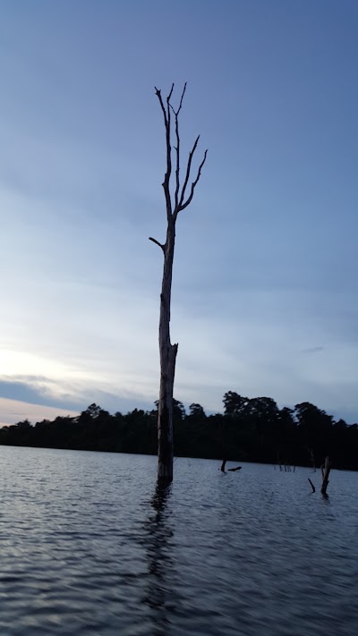 Photos of Thalang