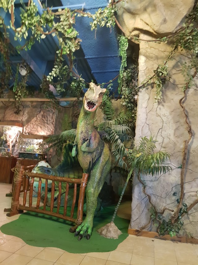 Аквапарк Dream Island