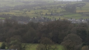 Festival Inn photo