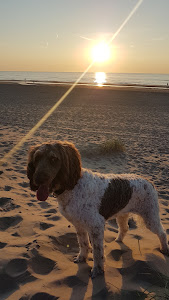 Beach Break photo