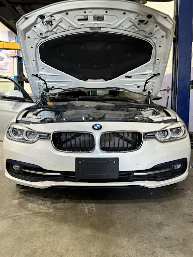 305 AUTO ELECTRONIC - Visual
