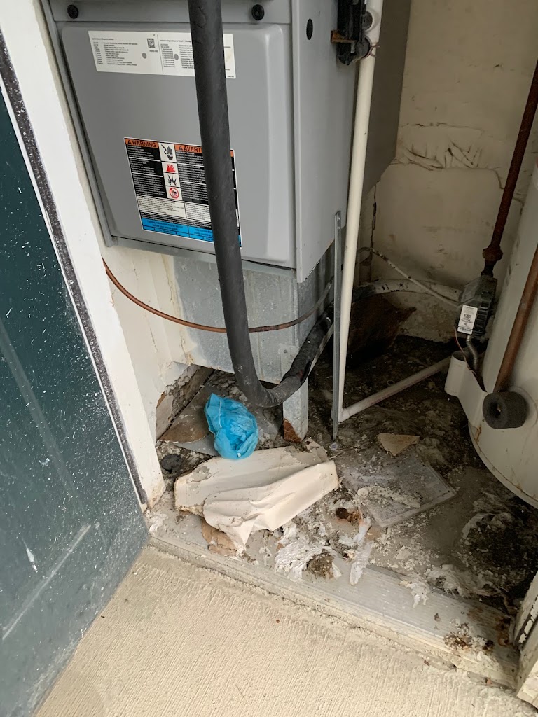 PuroClean of Akron photo