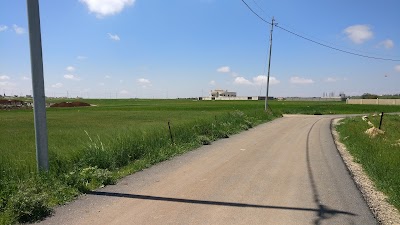 Photos of Numair Nasrawi - Commercial Building