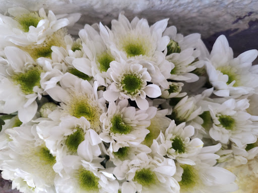 Las flowuers de Mabel