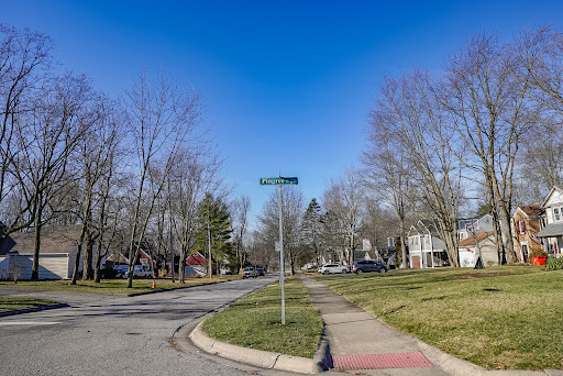 Pingree Park - Visual
