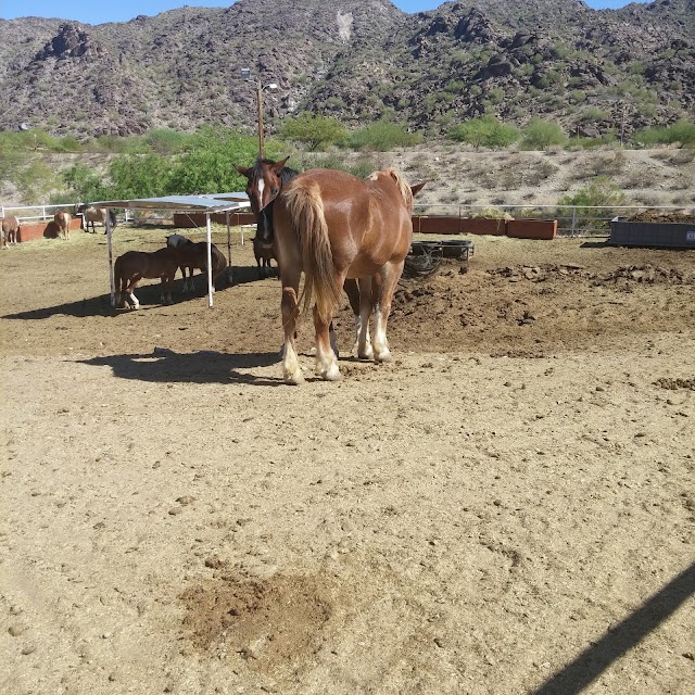 South Mountain Park