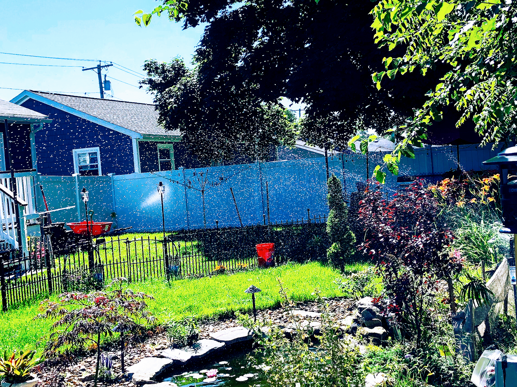 Clear H20 Irrigation NE