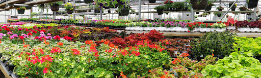 Southdale Garden Center - Thumbnail
