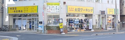 太陽ワーキング