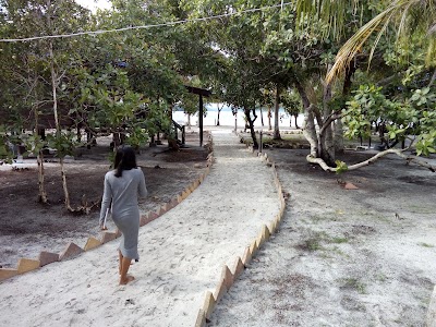 Photos of Coral Beach Resort