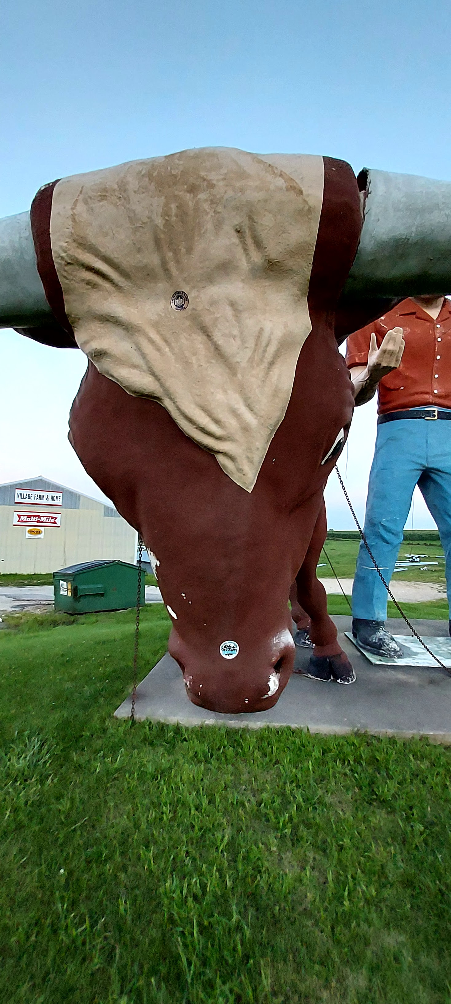 Cowboy & Bull