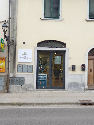 RADICI DI ZENZERO DI CORNIOLI LUCIA CIBO E BENESSERE