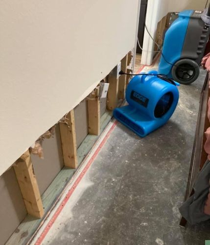 Natural Emergency, LLC photo