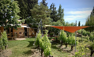 Photo n°24 de L'Huître et la Vigne à Saint-Hilaire-d'Ozilhan (Restaurant de fruits de mer)
