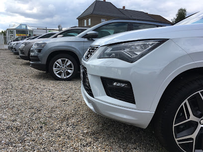 Braune-Automobile