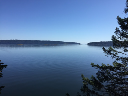 Deb Wilson RI(BC) - Realtor Sutton West Coast Realty - Thumbnail