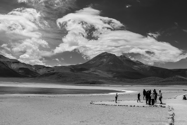 Laguna Miscanti