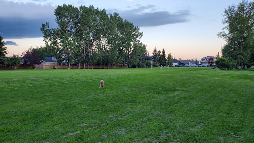 Morgans Park - Visual