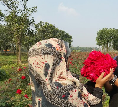 Photos of Lake Island - Dhaka