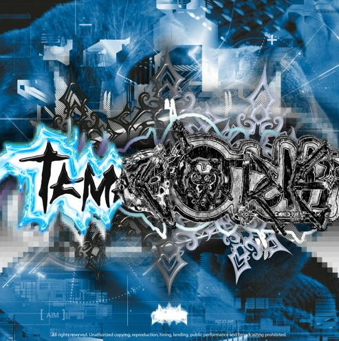 TAMACORE