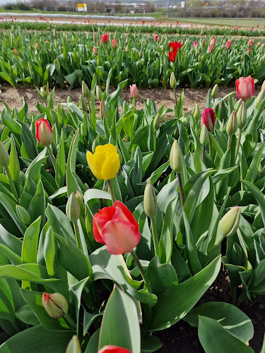 Pflück dich bunt! photo