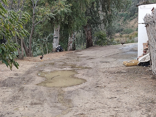 Sendero Tajo de Arcos
