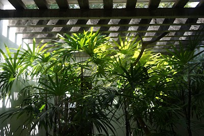 Photos of Geoffrey Bawa House No 11