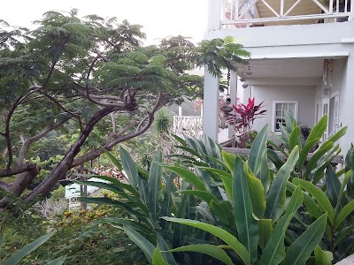 Photos of Beau Rive
