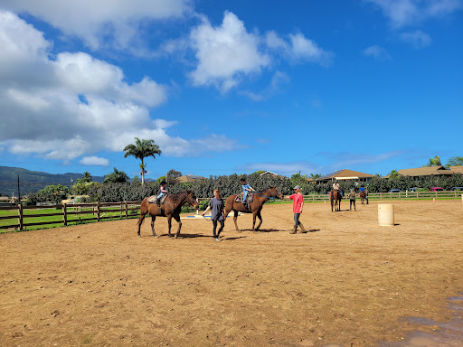 North Shore Stables - Thumbnail