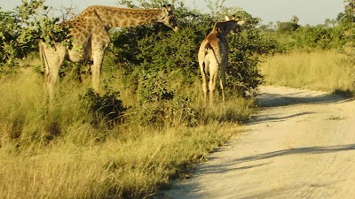 Photos of Seba Camp