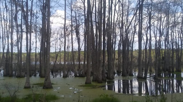 Donnelley Wildlife Management Area