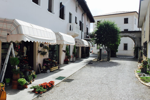 Fiori e Confetti