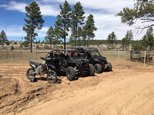 Fool Hollow Lake Recreation Area
