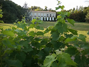 Photo n°2 de chateau Camarset à Saint-Morillon (Vignoble)