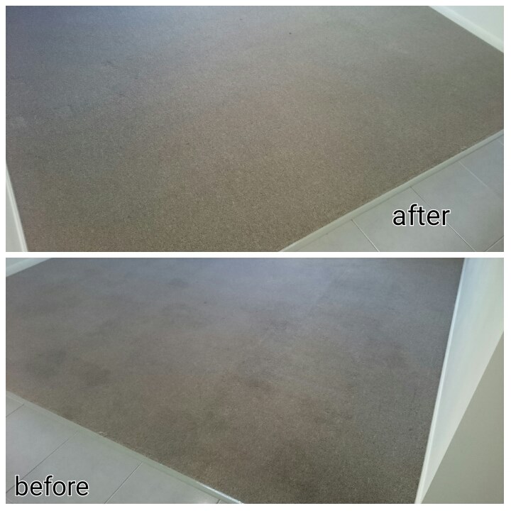 Elite Carpet Cleaning and Pest Control Mackay