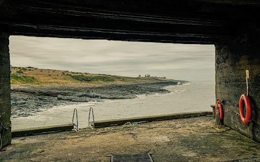 Muckle Carr - Visual